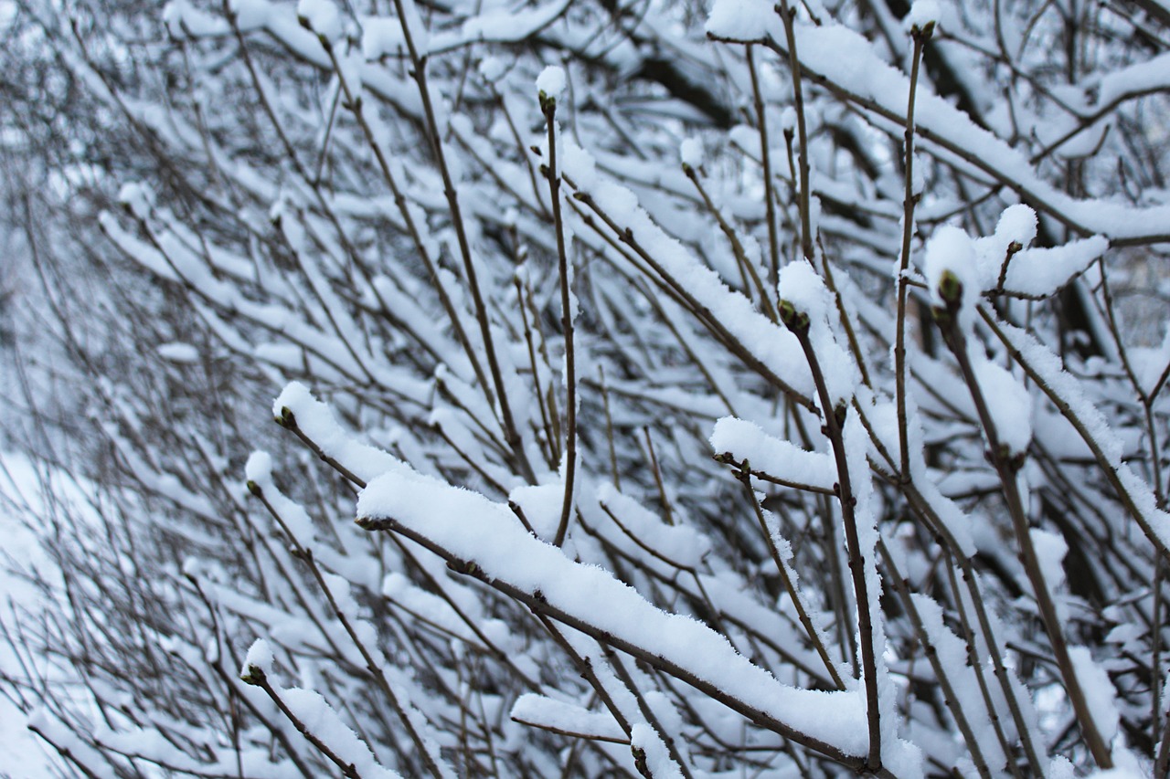 国庆当天，北京迎来秋后第一场雪